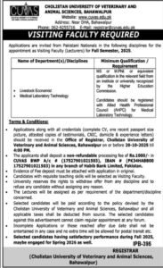 Cholistan University of Veterinary and Animal Sciences CUVAS Education Jobs Bahawalpur 2025