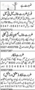 Latest Lahore Jobs 2025