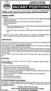 Chairperson BISE Punjab Jobs 2025